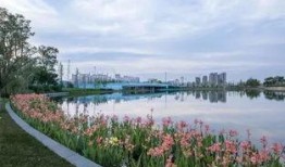 成都公园爆料最新消息,探寻绿意盎然中的秘密角落