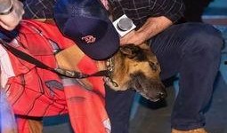 狗哥最新爆料新闻直播,最新爆料新闻直播幕后真相