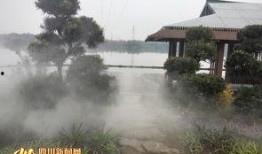 成都公园爆料最新消息,探寻绿意盎然中的秘密角落