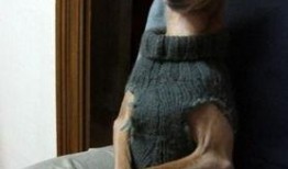 最新爆料搞笑图片,最新搞笑图片盘点，笑出腹肌的瞬间来了！