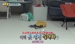 狗哥最新爆料新闻直播,最新爆料新闻直播幕后真相