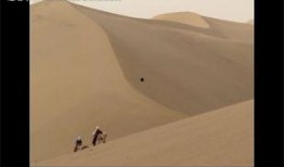 最新沙漠爆料视频下载安装,最新爆料视频深度解析